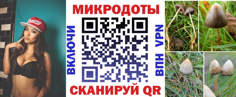 ссылка на мегу рабочий сайт  закладки  Северобайкальск  Галлюциногенные грибы прущие грибы 